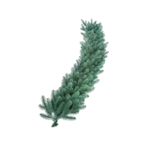 Kunstkuusevanik-Valenciablue