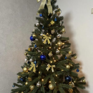 Kunstkuusk REVAL ehetes tutiga