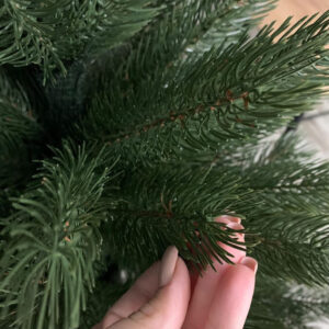 Kunstkuusk REVAL gr.sõrmedevahel