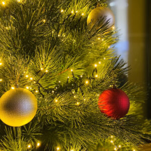 Kunstkuusk TUNDRA küünlad-ehted lähiplaan1