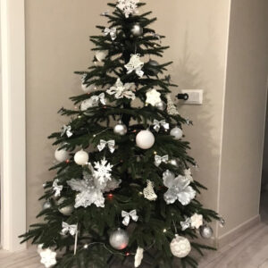 Kunstkuusk VERONA ehetes