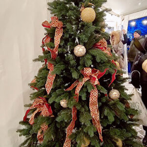 Kunstkuusk--Valencia-kohvikus