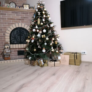 Kunstkuusk Verona kamina ääres